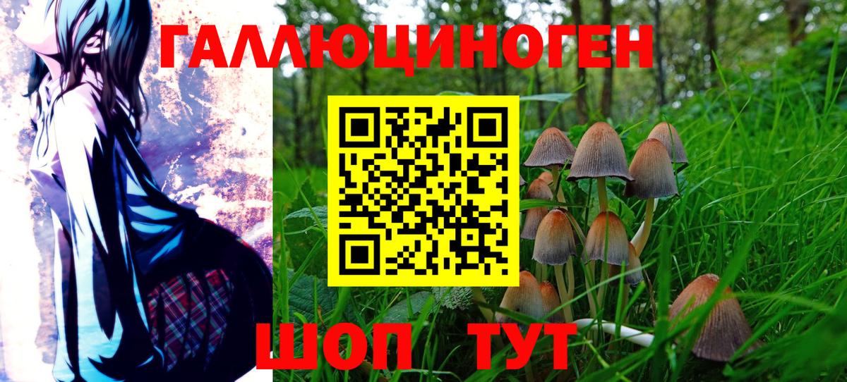 хочу   Вход с VPN  Домодедово  Псилоцибиновые грибы мицелий 